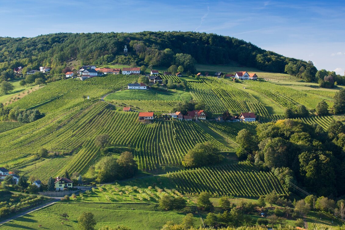 Wanderung Etappe 34 Vom Gletscher zum Wein Nordroute Bad Gleichenberg - Klöch - Touren-Impression #1 | © Steiermark Tourismus