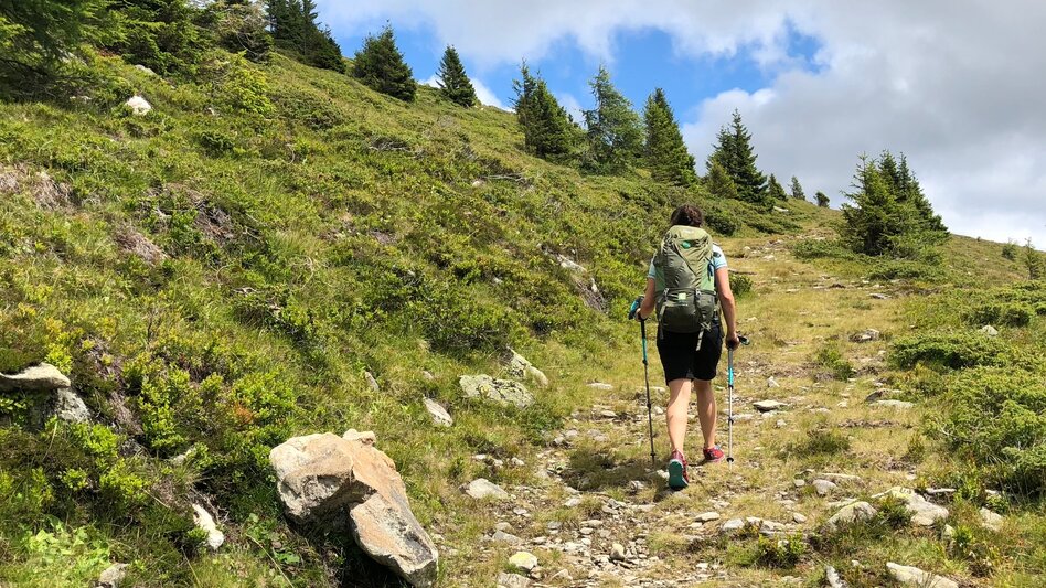 Wanderung Etappe 15 Vom Gletscher zum Wein Südroute Obdach - Salzstiegl - Touren-Impression #2.5 | © Steiermark Tourismus