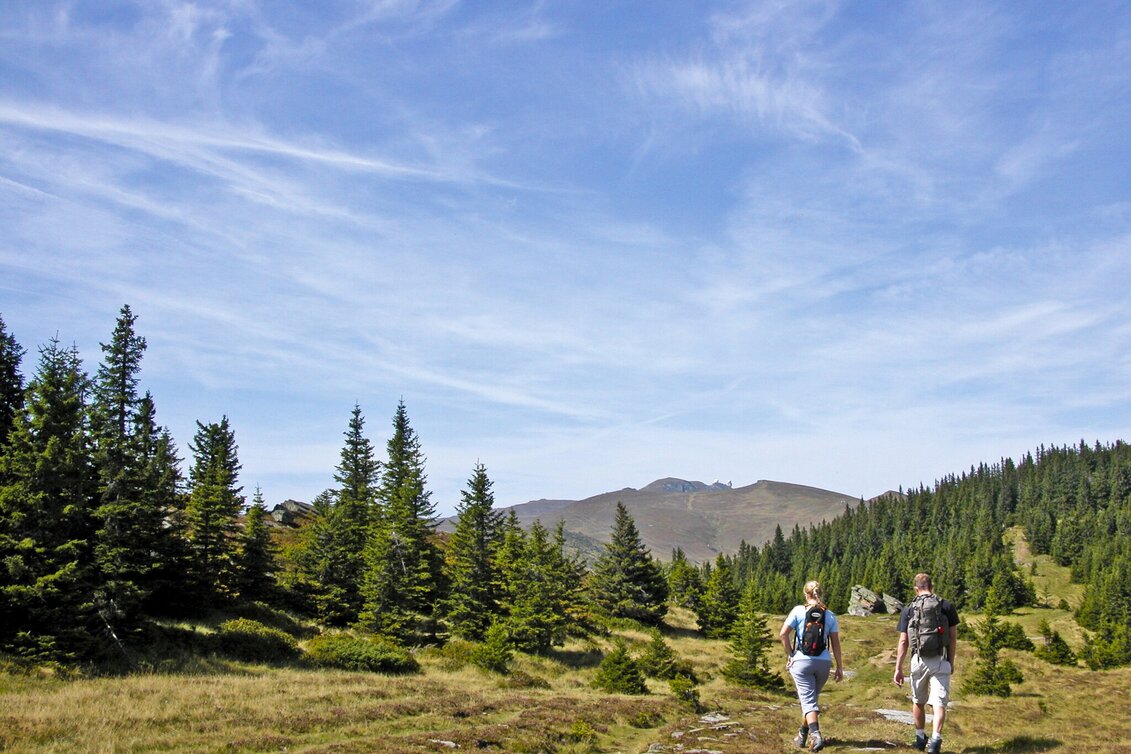 Wanderung Etappe 16 Vom Gletscher zum Wein Südroute Salzstiegl - Pack - Touren-Impression #1 | © Steiermark Tourismus