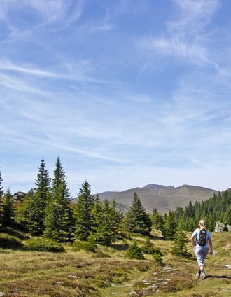 Auf der Koralm | Harry Schiffer | © Steiermark Tourismus