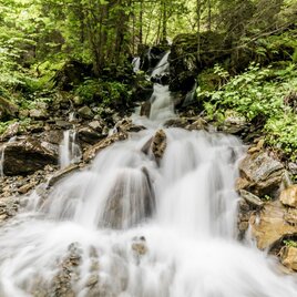 Im Frühjahr wasserreicher Zufluss zum Steinriesenbach entlang des Weges # 778 | © Gerhard Pilz - www.gpic.at