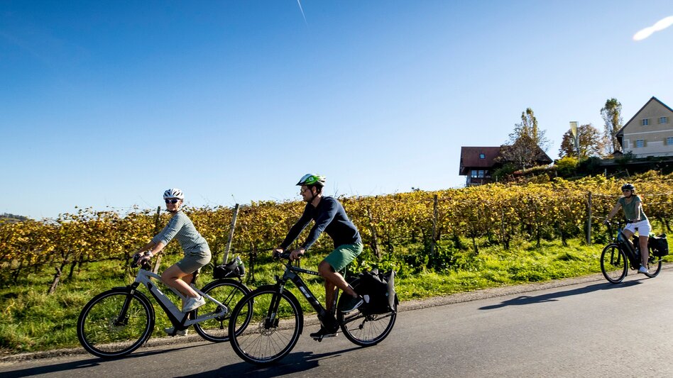 Radfahren Etappe 06 Weinland Steiermark Radtour Hartberg - Therme Loipersdorf - Touren-Impression #2.2 | © Steiermark Tourismus/Tom Lamm