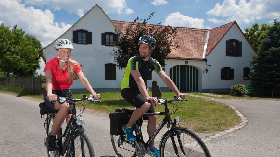 Radfahren Etappe 06 Weinland Steiermark Radtour Hartberg - Therme Loipersdorf - Touren-Impression #2.3 | © Steiermark Tourismus/Leo Himsl