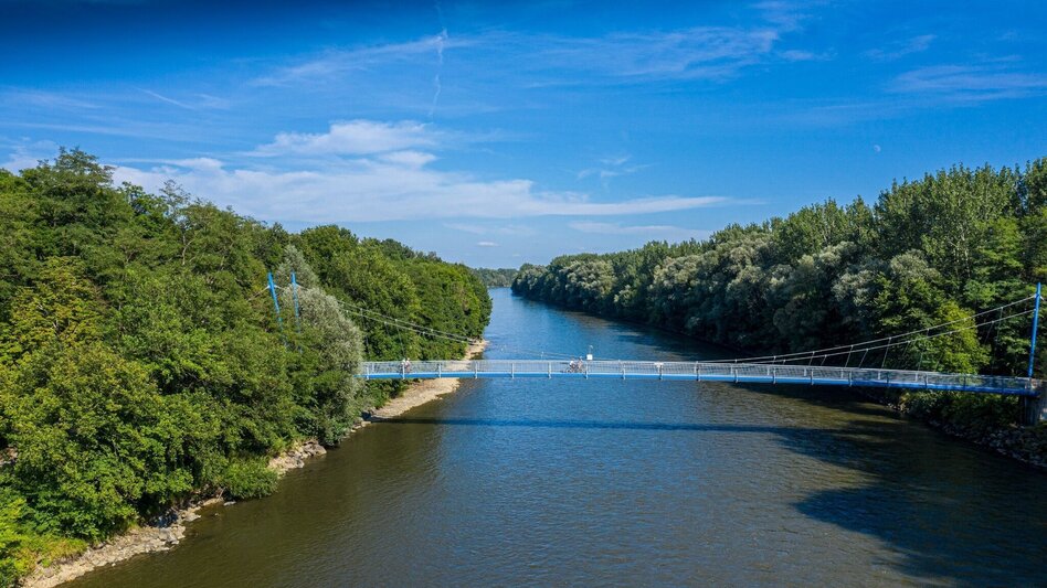 Radfahren Etappe 08 Weinland Steiermark Radtour Bad Radkersburg - Leibnitz - Touren-Impression #2.6 | © Steiermark Tourismus/pixelmaker.at