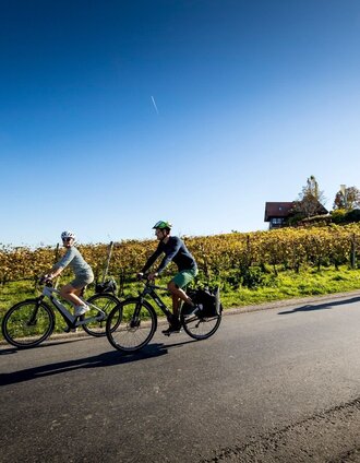 Radtour im Weinland Steiermark | Tom Lamm | © Steiermark Tourismus/Tom Lamm
