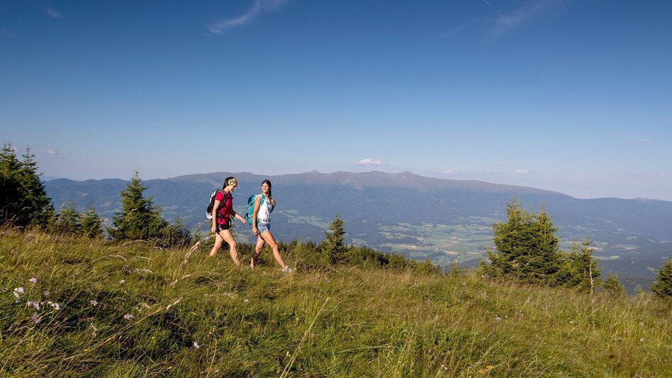 Hiking Route ÖTK 134 - Touren-Impression #2.3 | © Tourismusverband Murau