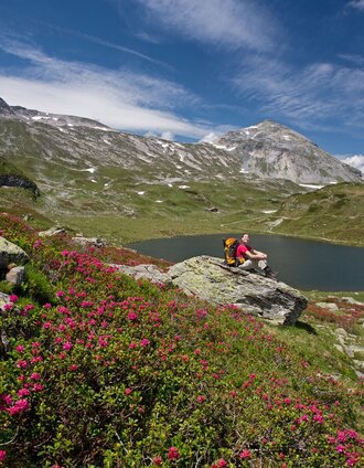 Blick zurück auf den Giglachsee | Herbert Raffalt | © Tourismusverband Schladming - Herbert Raffalt