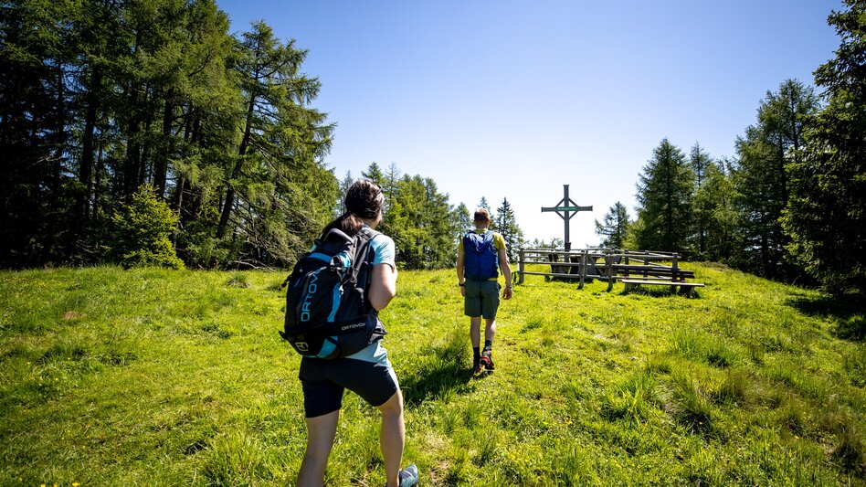 Hiking Route Krakau heights tour - Touren-Impression #2.1 | © TVB Murau