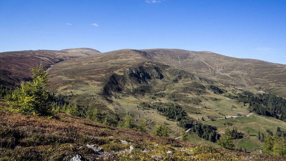 Hiking Route Rossalm - Touren-Impression #2.1 | © Holzwelt