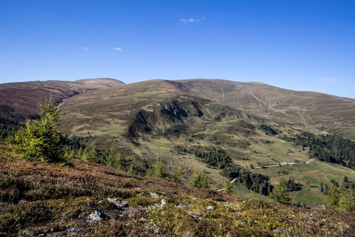 Hiking Route Rossalm - Touren-Impression #1 | © Holzwelt