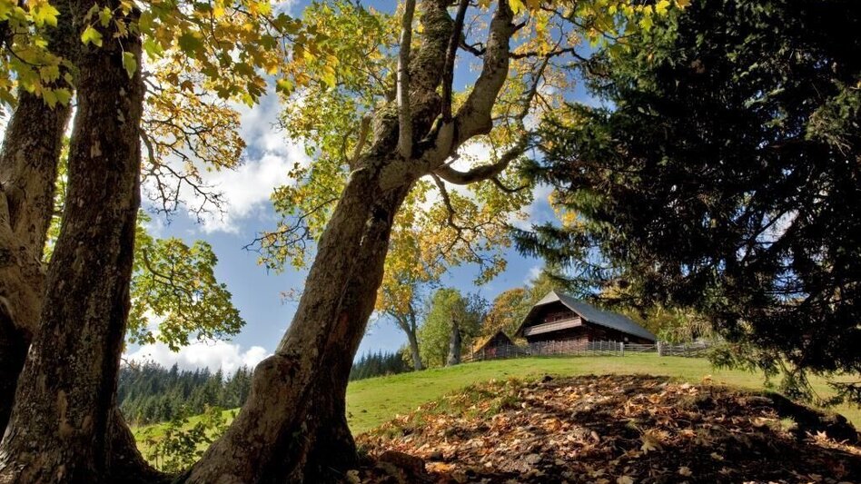 Wanderung Etappe 22 Vom Gletscher zum Wein Nordroute Pretul Rosegger Schutzhaus (2026 wegen Renovierung geschlossen) - Fischbach - Touren-Impression #2.5 | © TV Hochsteiermark