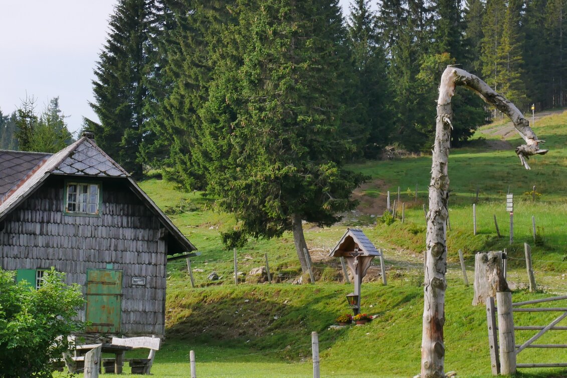 Wanderung Etappe 24 Vom Gletscher zum Wein Nordroute Am Straßegg - Almenland Brandlucken - Touren-Impression #1 | © Steiermark Tourismus