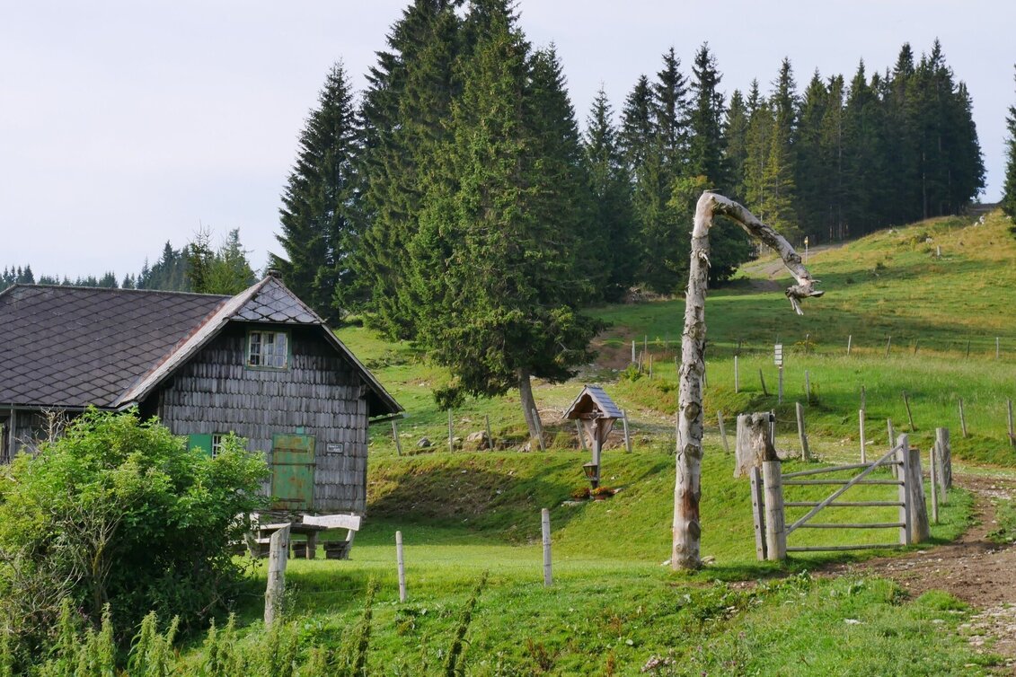 Wanderung Etappe 24 Vom Gletscher zum Wein Nordroute Am Straßegg - Almenland Brandlucken - Touren-Impression #1 | © (c) Steiermark Tourismus/Manfred Polansky
