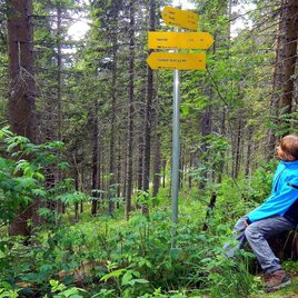 Am Weg zum Rennfeld | © TV Hochsteiermark