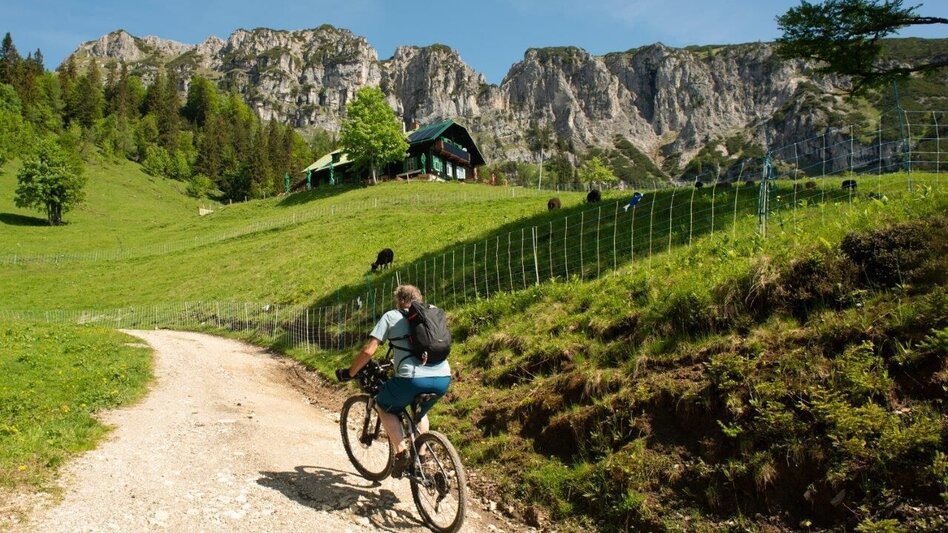 Mountainbike Grabneralm Mountainbiketour - Touren-Impression #2.11 | © TV Gesäuse