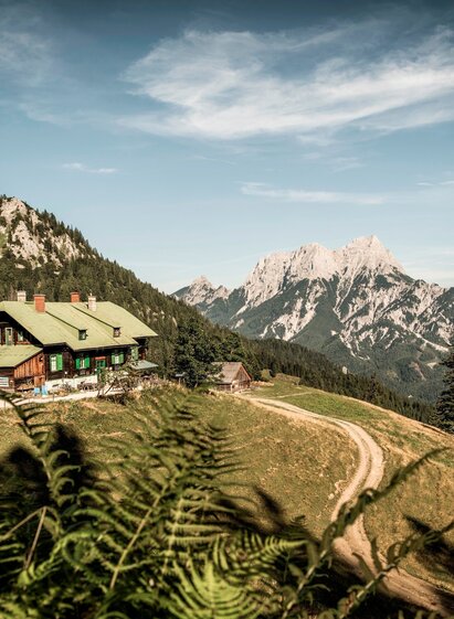 Grabneralm, der Balkon zum Gesäuse | © TV Gesäuse | Stefan Leitner | © TV Gesäuse