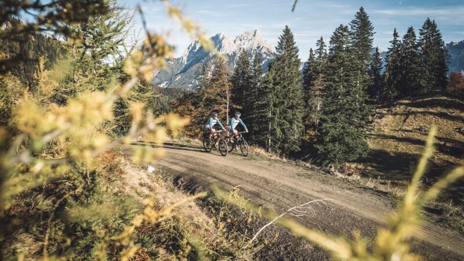 Mountainbike Grabneralm Mountainbiketour - Touren-Impression #2.6 | © TV Gesäuse