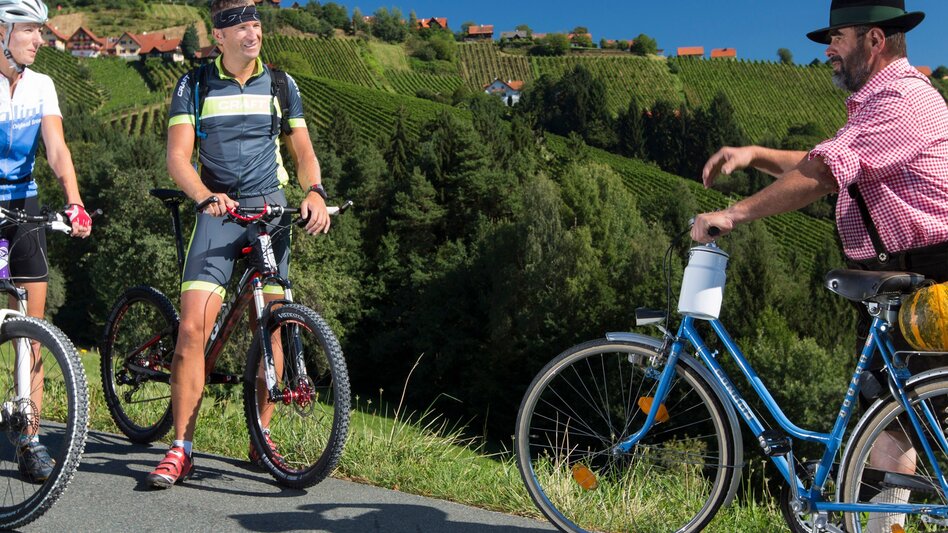 Radfahren Etappe 02 Weinland Steiermark Radtour Deutschlandsberg - Lieboch/Söding - Touren-Impression #2.1 | © Steiermark Tourismus