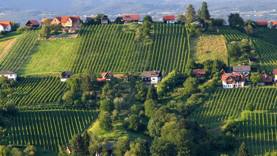 Radfahren Etappe 02 Weinland Steiermark Radtour Deutschlandsberg - Lieboch/Söding - Touren-Impression #2.3 | © Steiermark Tourismus