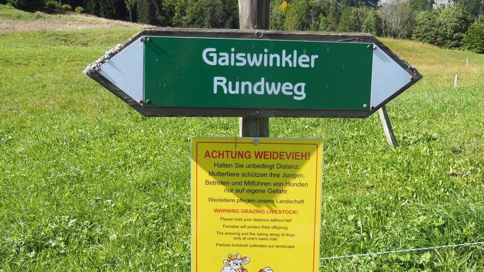Hiking Route Gaiswinkler circular path - Touren-Impression #2.8 | © TVB Ausseerland Salzkammergut_Theresa Schwaiger