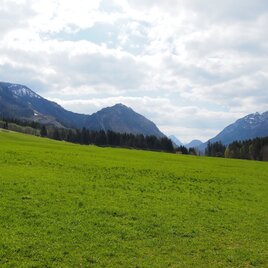 kräuterrundweg in gößl_img_80819395 | © Ausseerland