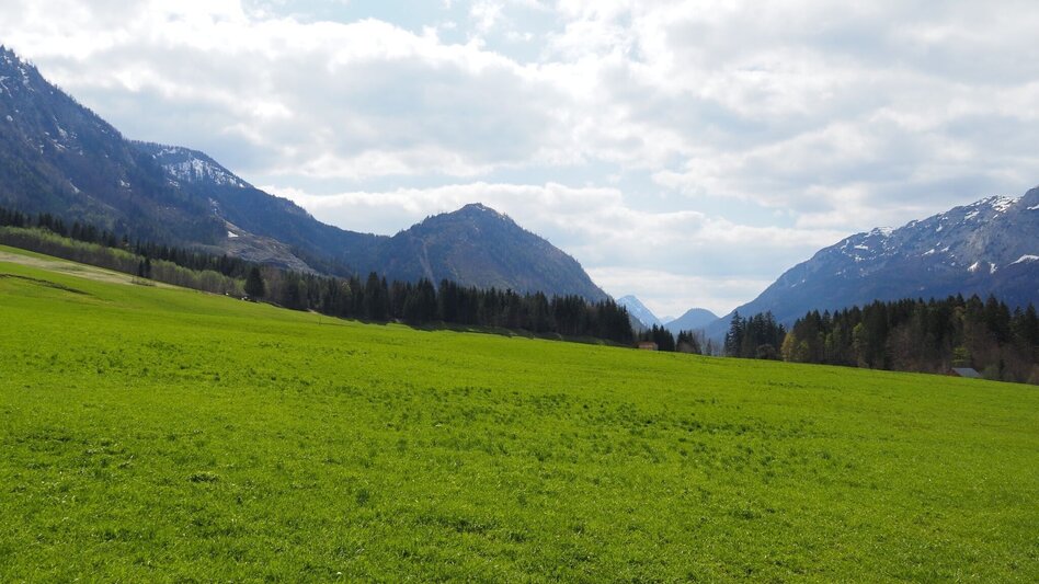 Wanderung Kräuterrundweg in Gößl - Touren-Impression #2.1 | © Ausseerland