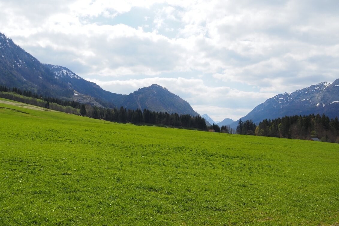 Wanderung Kräuterrundweg in Gößl - Touren-Impression #1 | © Ausseerland