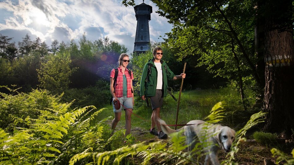 Themen- und Lehrpfad Laternderl Weg, Hartberg - Touren-Impression #2.2 | © Oststeiermark Tourismus