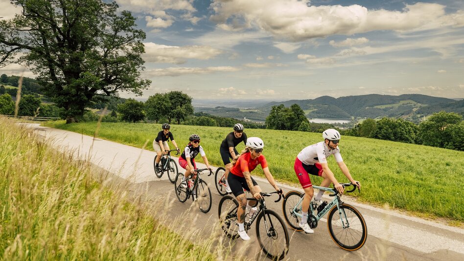 Road Cycling Tour through apple country - Touren-Impression #2.1 | © Oststeiermark Tourismus