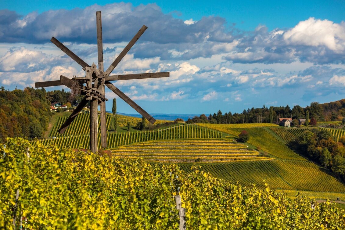 Wanderung Weinwanderweg Ratsch-Ottenberg Nr. 21  - Touren-Impression #1 | © TV Südsteiermark/Symbol