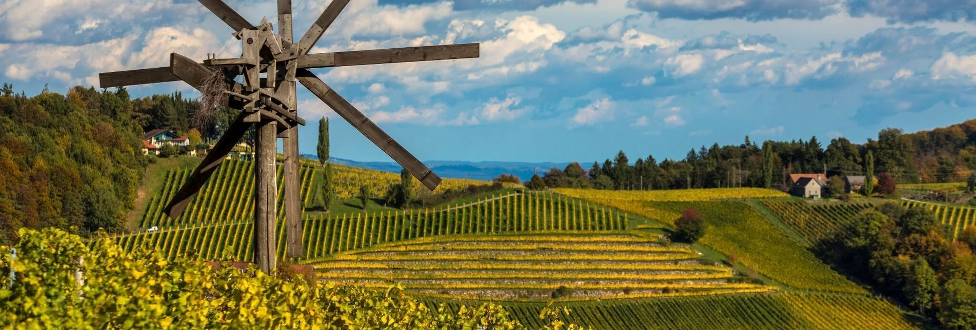 Wanderung Weinwanderweg Ratsch-Ottenberg – Tour 13 lt. WK „Von der Alm zum Wein“ - Touren-Impression #1 | © Südsteiermark