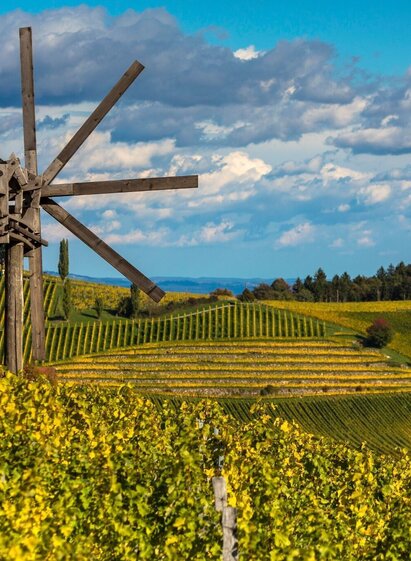 Aussicht vom Stermetzberg Richtung Weingut Gross | © TV Südsteiermark/Symbol | SYMBOL | © TV Südsteiermark/Symbol