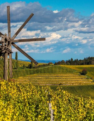 Aussicht vom Stermetzberg Richtung Weingut Gross | SYMBOL | © TV Südsteiermark/Symbol