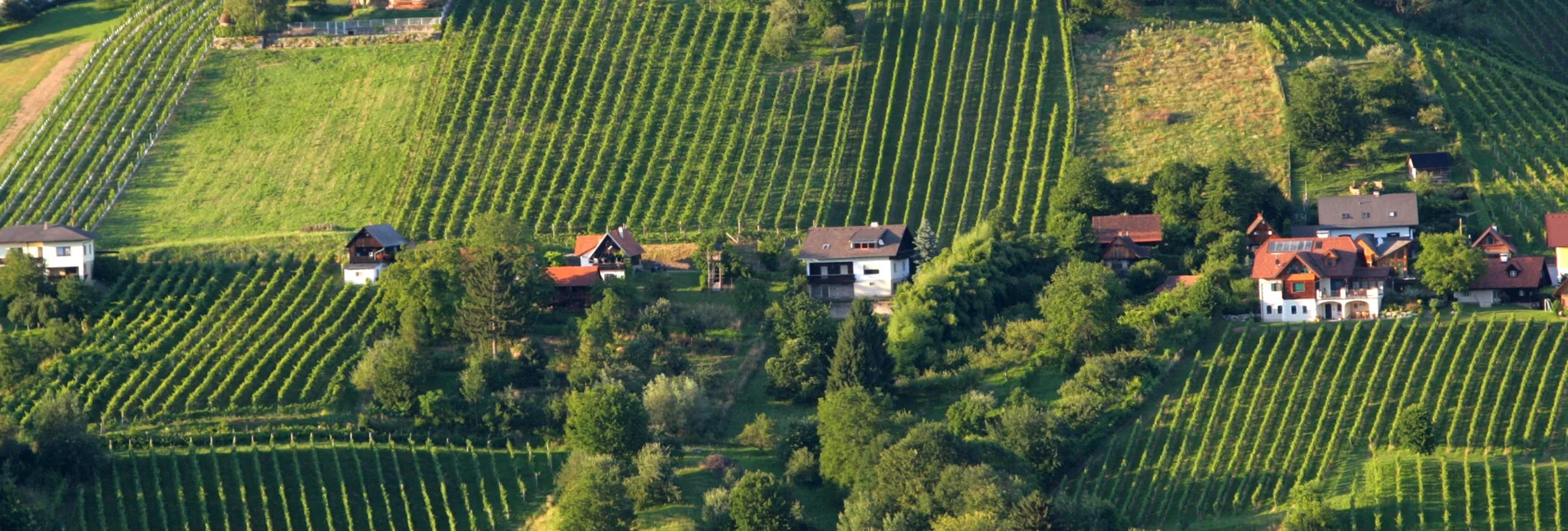 Wanderung Etappe 19 Vom Gletscher zum Wein Südroute Deutschlandsberg - Bad Schwanberg - Touren-Impression #1 | © Steiermark Tourismus/Harry Schiffer