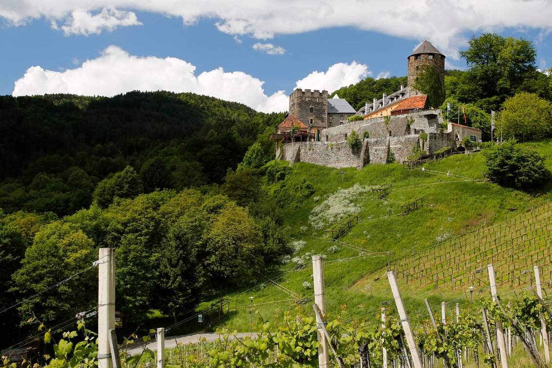Wanderung Etappe 19 Vom Gletscher zum Wein Südroute Deutschlandsberg - Bad Schwanberg - Touren-Impression #1 | © Steiermark Tourismus