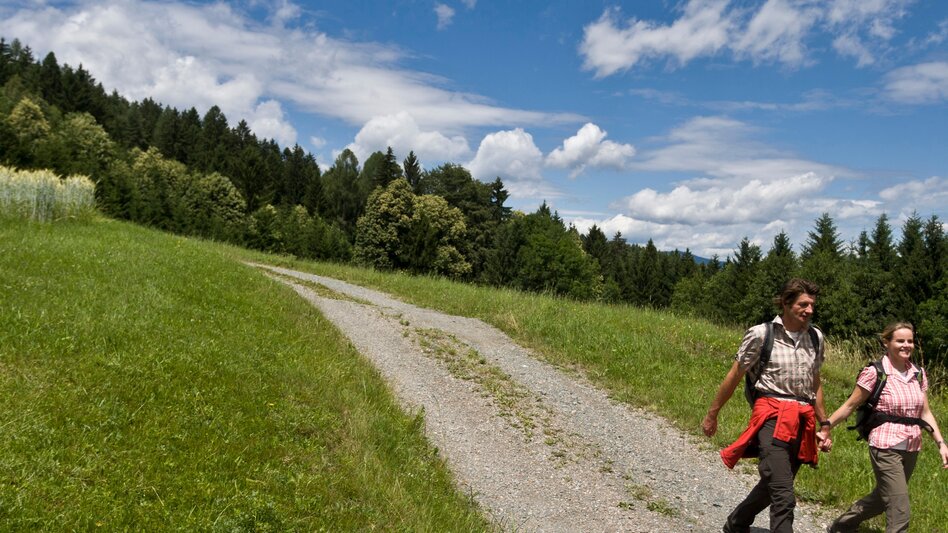 Wanderung Etappe 19 Vom Gletscher zum Wein Südroute Deutschlandsberg - Bad Schwanberg - Touren-Impression #2.5 | © Steiermark Tourismus