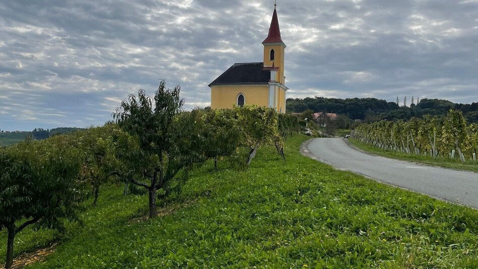 Hiking Route Berghausner Hiking tour Nr. 1 - Touren-Impression #2.3 | © TVB Südsteiermark/Brigitte Weihs