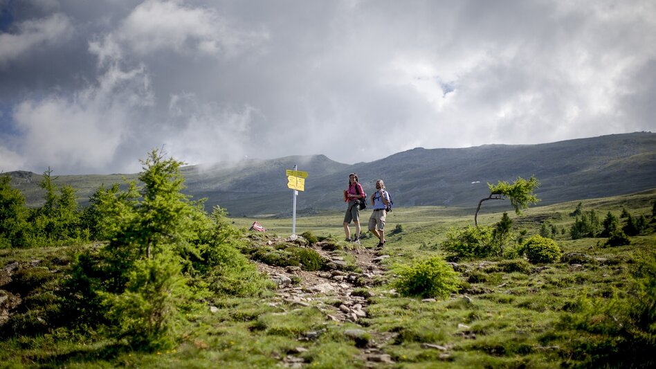 Wanderung Etappe 14 Vom Gletscher zum Wein Südroute Tonnerhütte Zirbitzkogel - Obdach - Touren-Impression #2.1 | © Steiermark Tourismus