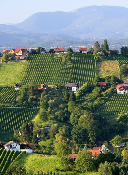 Blick auf die Schilcherweinstraße | © Steiermark Tourismus/Harry Schiffer | Harry Schiffer | © Steiermark Tourismus/Harry Schiffer