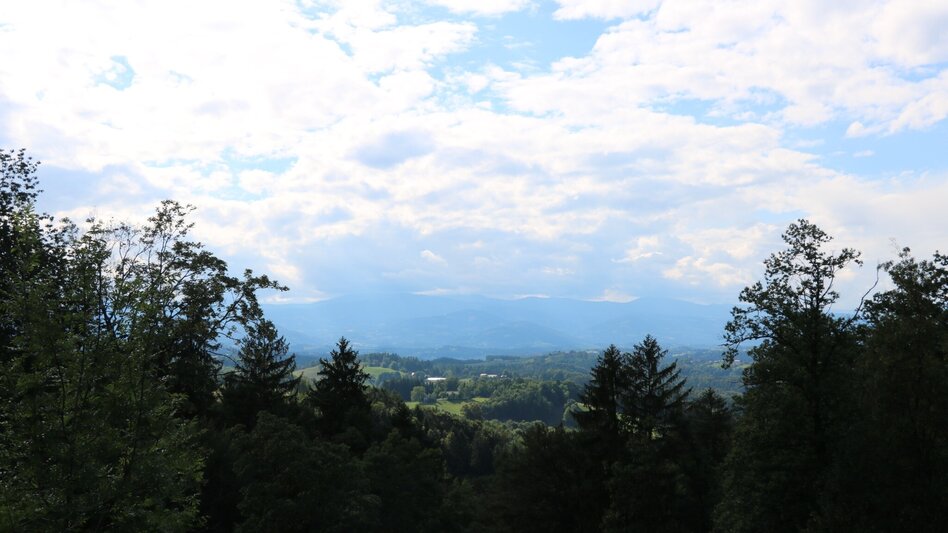 Wanderung Arnfelser Wege - Remschnigg R3 - Touren-Impression #2.3 | © Elisabeth Temmel