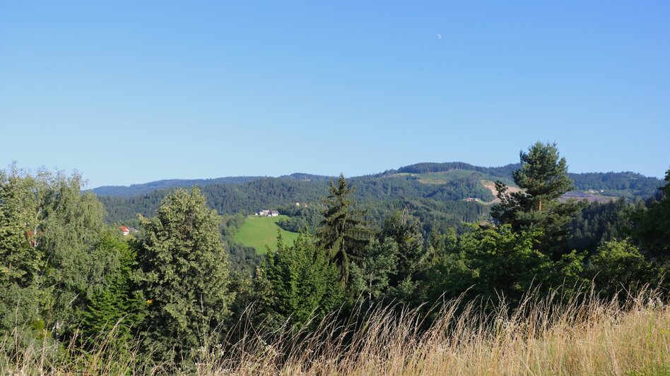 Wanderung Oberhaager Wege Nr. 4 - St. Pongratzenweg - Touren-Impression #2.2 | © Elisabeth Temmel