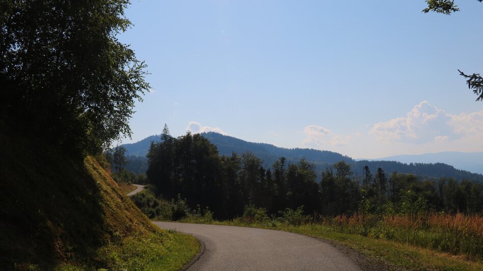 Hiking Route Oberhaager Wege - Geowanderweg - Touren-Impression #2.1 | © Elisabeth Temmel
