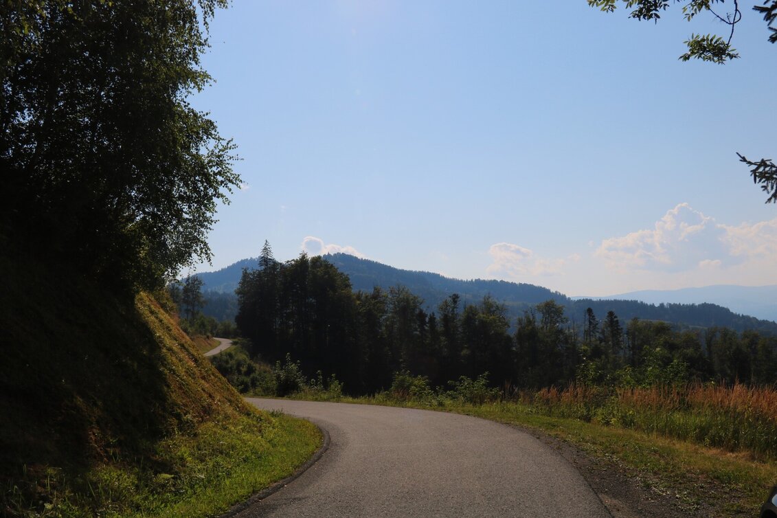 Hiking Route Oberhaager Wege - Geowanderweg - Touren-Impression #1 | © Elisabeth Temmel