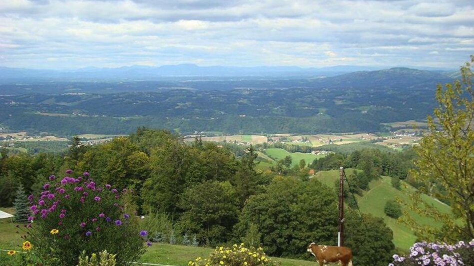 Wanderung Oberhaager Wege Nr. 1 - Aussichtstour an der Grenze - Touren-Impression #2.1 | © Panoramaschenke Tertinek