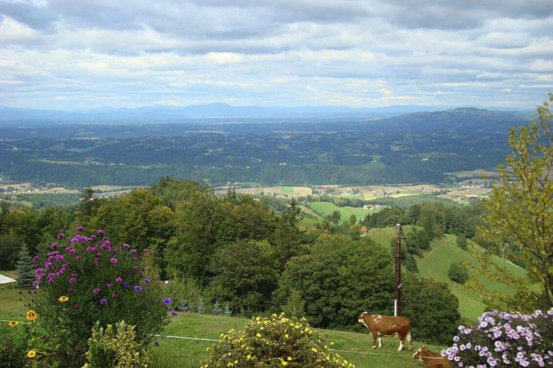 Wanderung Oberhaager Wege Nr. 1 - Aussichtstour an der Grenze - Touren-Impression #1 | © Panoramaschenke Tertinek