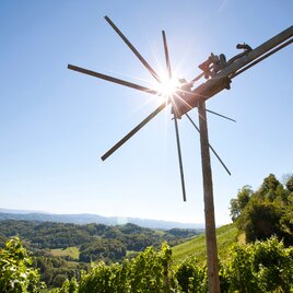 Der Klapotetz als Wächter übers Weinland | © Vino Cool