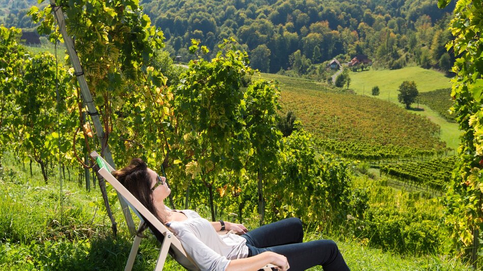Wanderung Etappe 24 Vom Gletscher zum Wein Südroute Ratsch an der Weinstraße - Ehrenhausen - Touren-Impression #2.4 | © Vino Cool