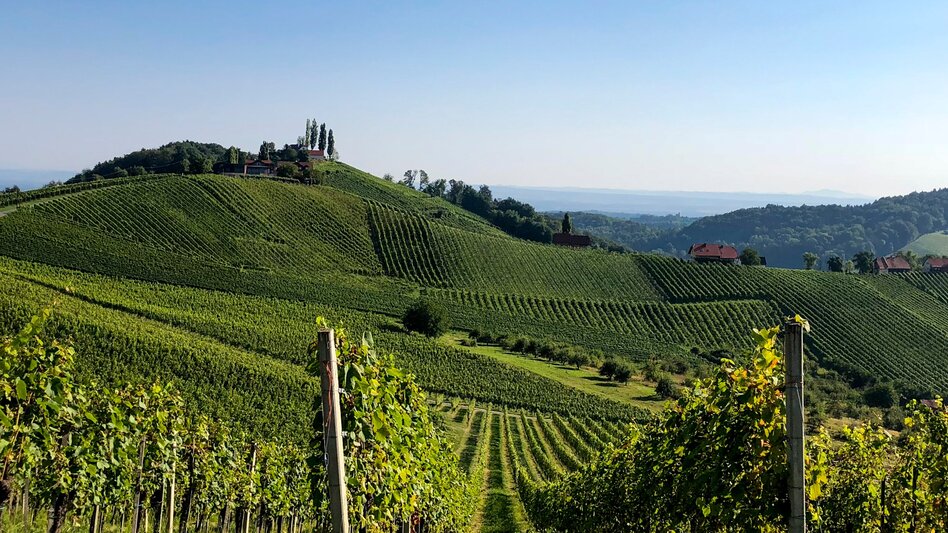 Wanderung Etappe 24 Vom Gletscher zum Wein Südroute Ratsch an der Weinstraße - Ehrenhausen - Touren-Impression #2.7 | © Steiermark Tourismus