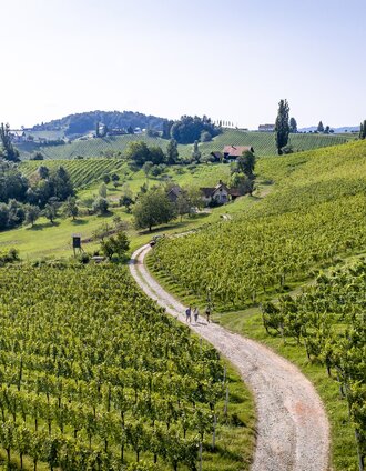Südsteiermark | Tom Lamm | © Steiermark Tourismus