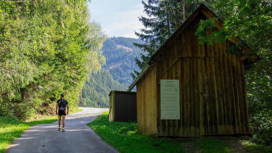 Wanderung Gumpeneck (2.226 m) - Touren-Impression #2.8 | © Erlebnisregion Schladming-Dachstein